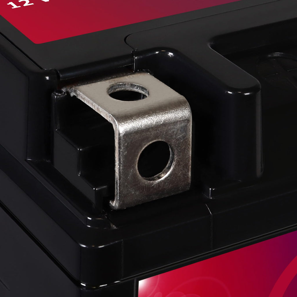 12V 11.2Ah Battery D2259