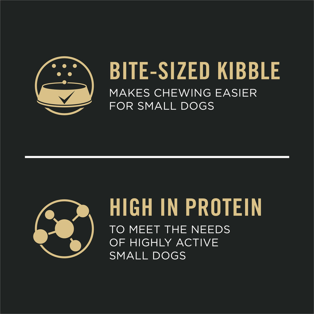Chicken & Rice Small Breed Puppy Food 6 lb Bag Y584229