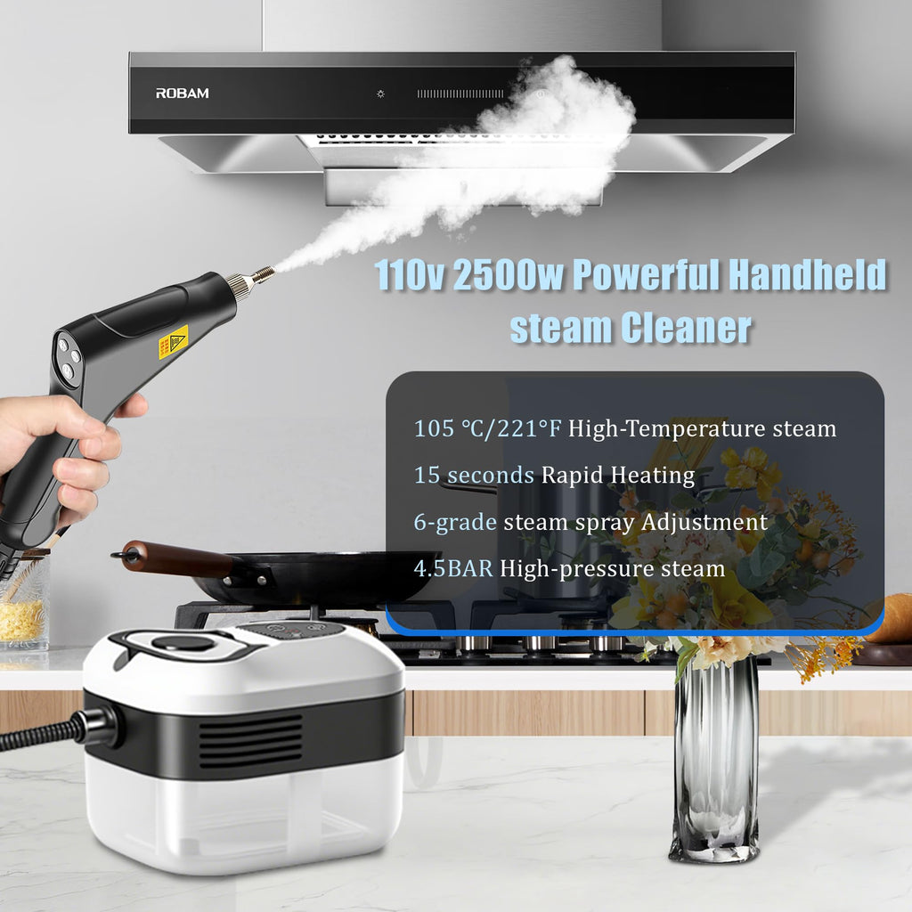 2500W Handheld Steam Cleaner I31782