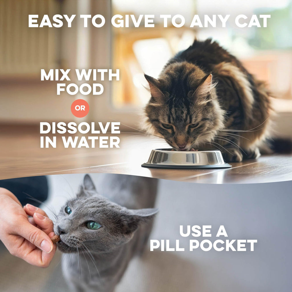Mange Support for Cats 400 Pills J2117