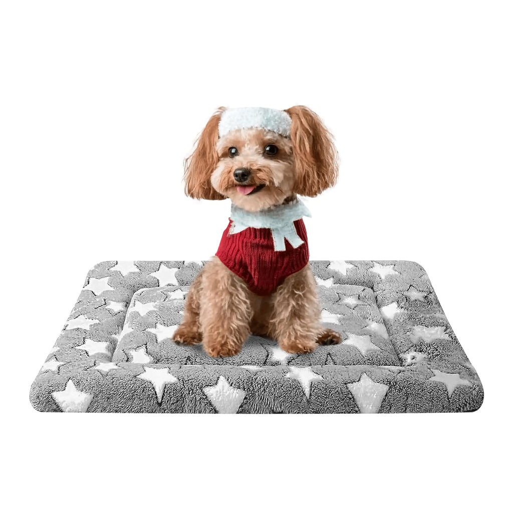 Reversible Machine Washable Dog Bed Mat G5796