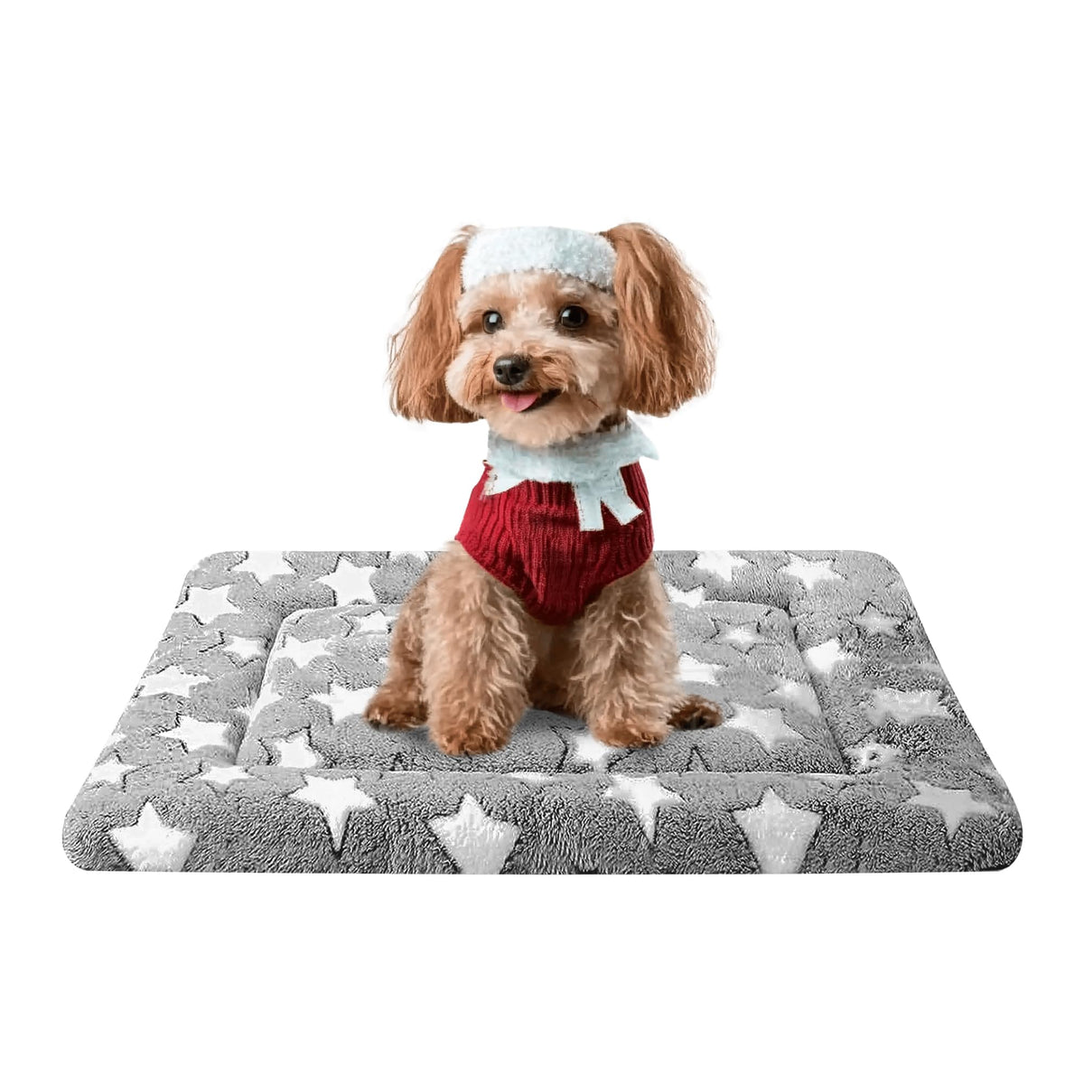 Reversible Machine Washable Dog Bed Mat G5796