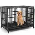 48" Heavy Duty Dog Crate U47696