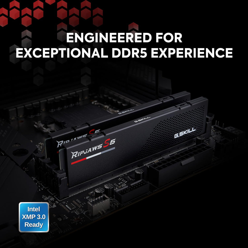 DDR5 Desktop Computer Memory 64GB 2x32GB Matte Black S446605