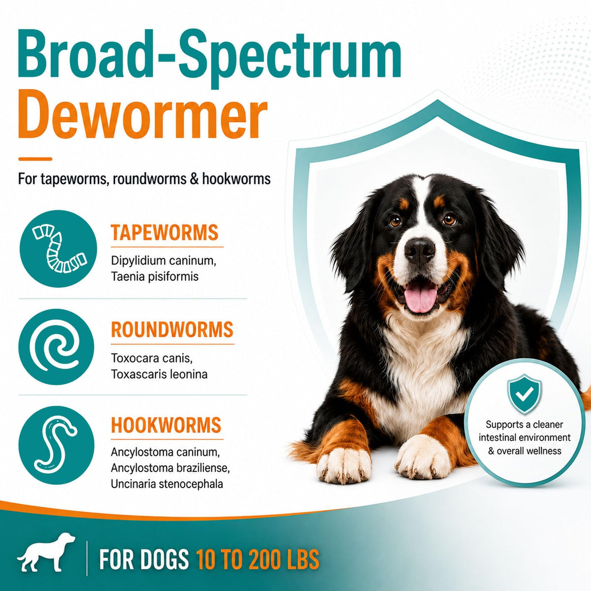 Dog Dewormer 48 Count M58393