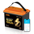 12V 100Ah LiFePO4 Lithium Battery with Bluetooth Monitoring & Low-Temp Protection W107