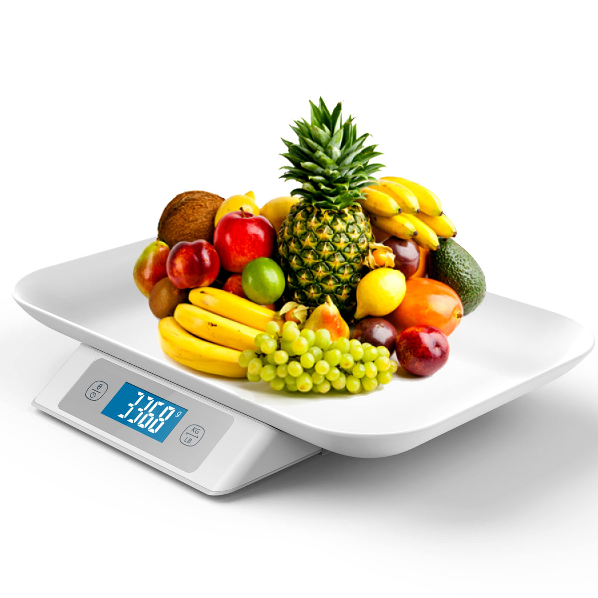 Digital Pet Scale 33 lbs Removable Tray Grey M1186