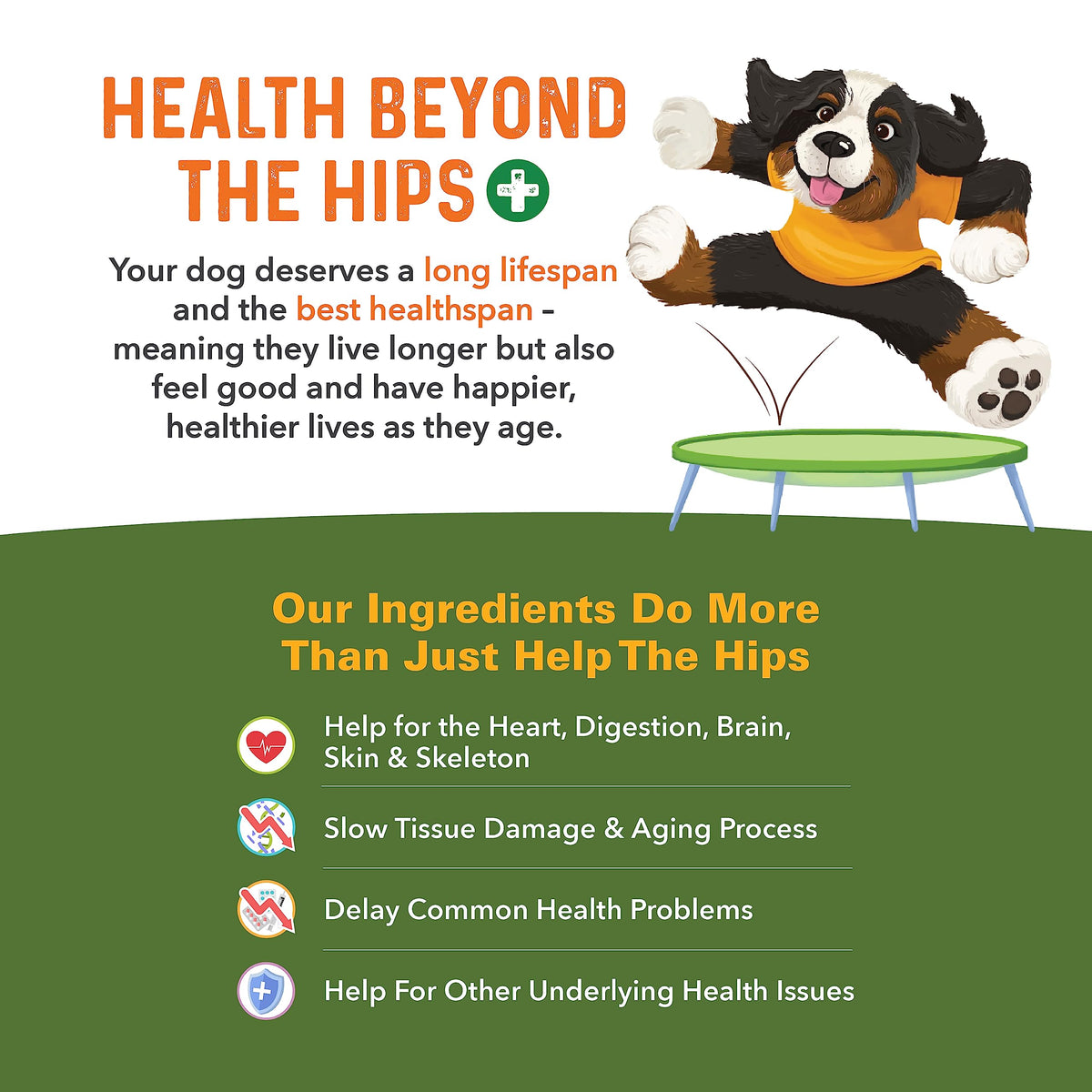 Hip and Joint Supplement for Dogs 90 Ct Soft Chews T538