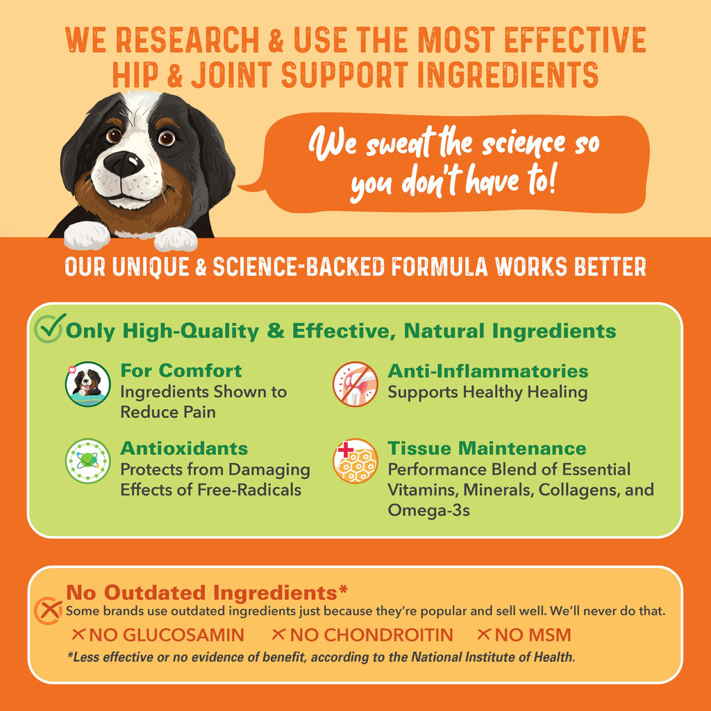 Hip and Joint Supplement for Dogs 90 Ct Soft Chews T538