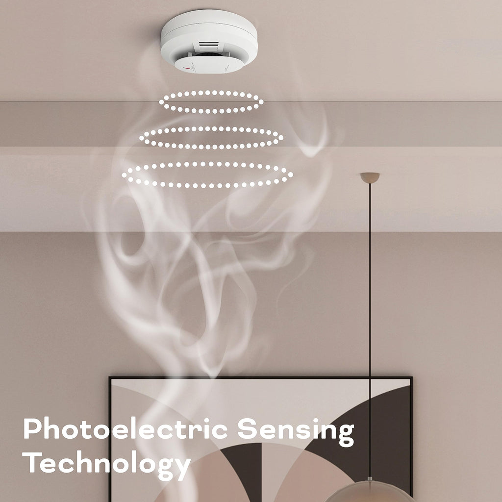 Smoke & Carbon Monoxide Detector, AA Battery Powered, 1 Pack F869