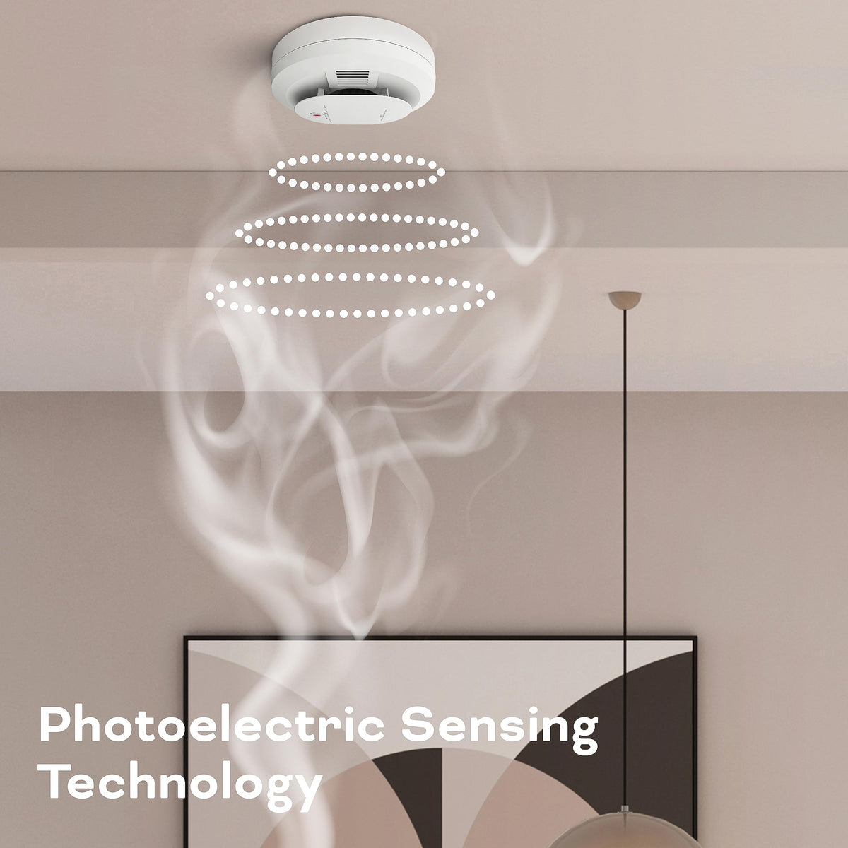 Smoke & Carbon Monoxide Detector, AA Battery Powered, 1 Pack F869
