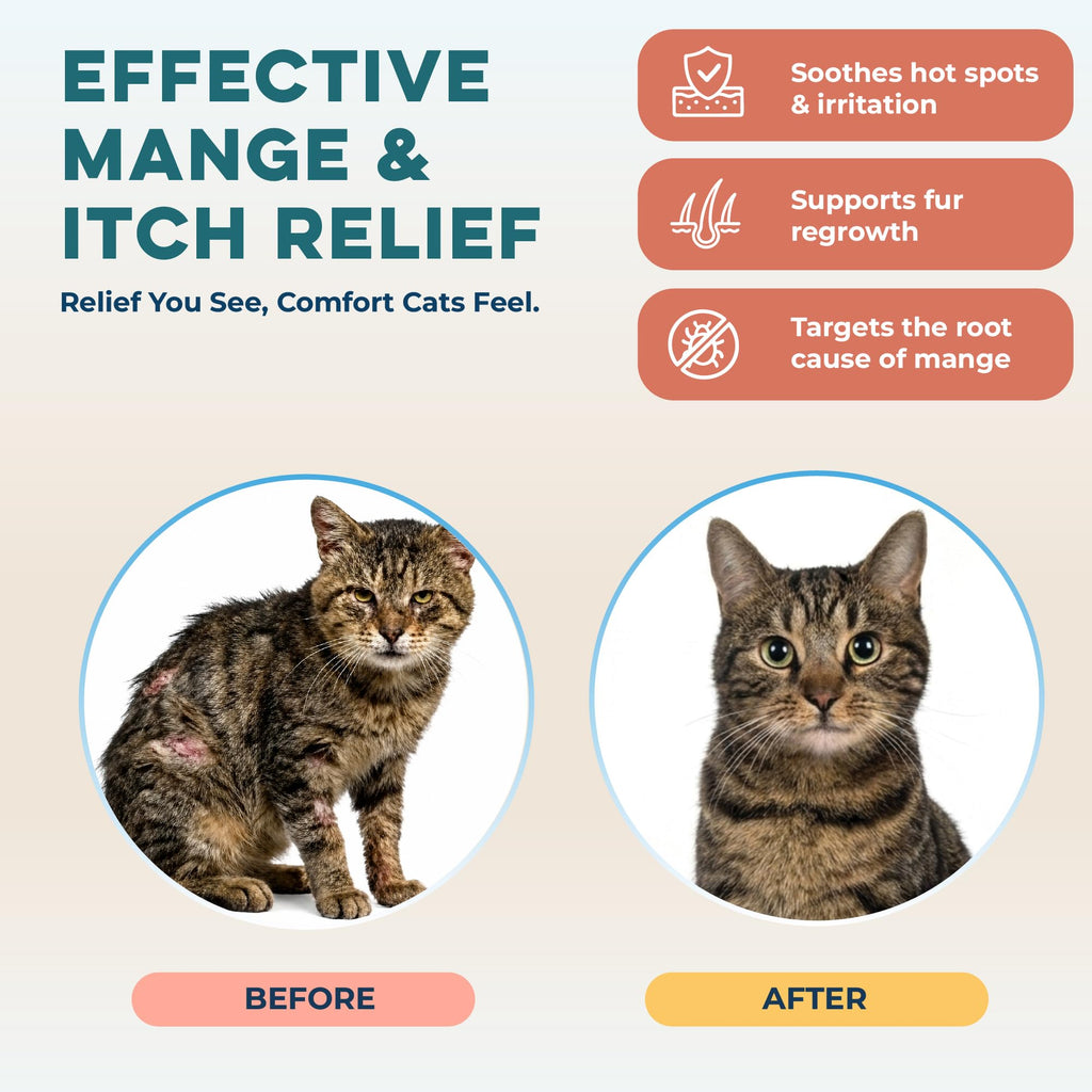 Mange Support for Cats 400 Pills J2117
