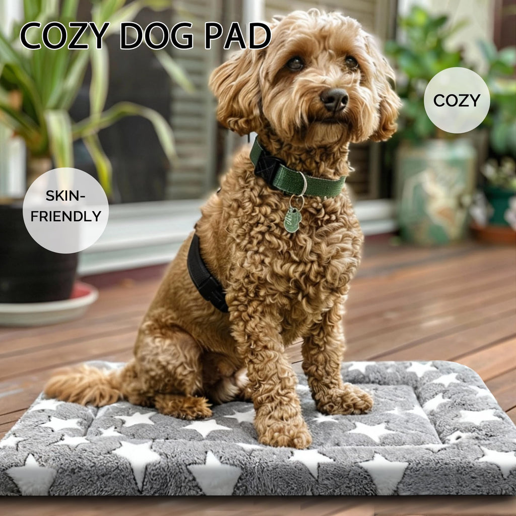 Reversible Machine Washable Dog Bed Mat G5796