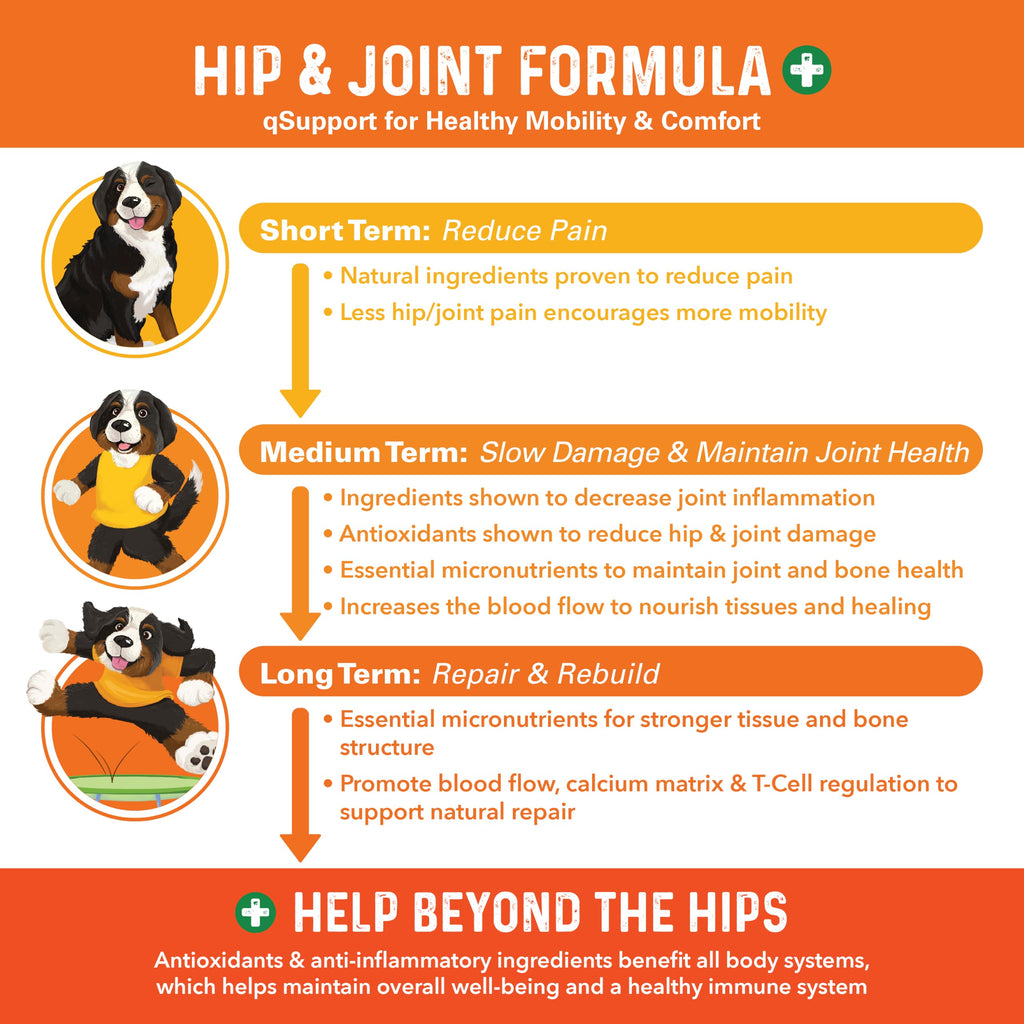 Hip and Joint Supplement for Dogs 90 Ct Soft Chews T538